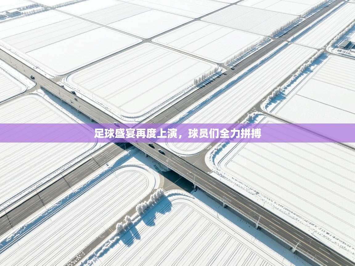 足球盛宴再度上演,球员们全力拼搏