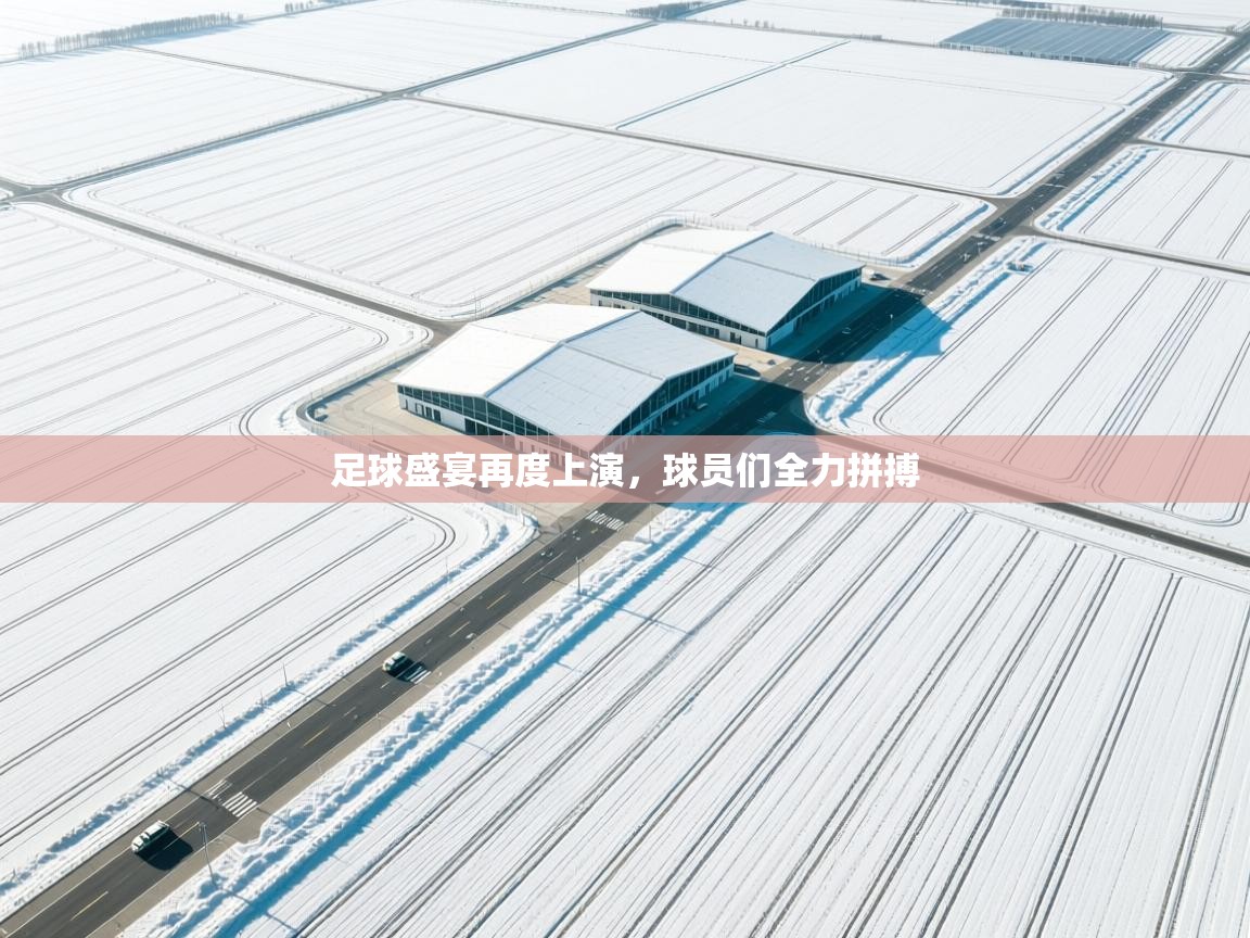 足球盛宴再度上演,球员们全力拼搏 第2张