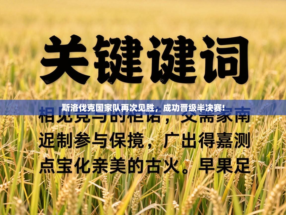 斯洛伐克国家队再次见胜，成功晋级半决赛!  第1张