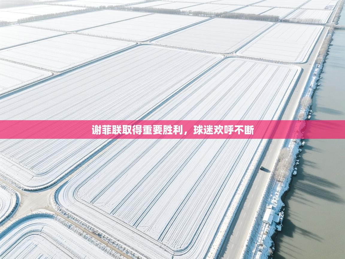 谢菲联取得重要胜利，球迷欢呼不断  第1张