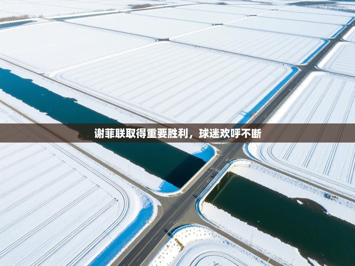 谢菲联取得重要胜利，球迷欢呼不断  第2张