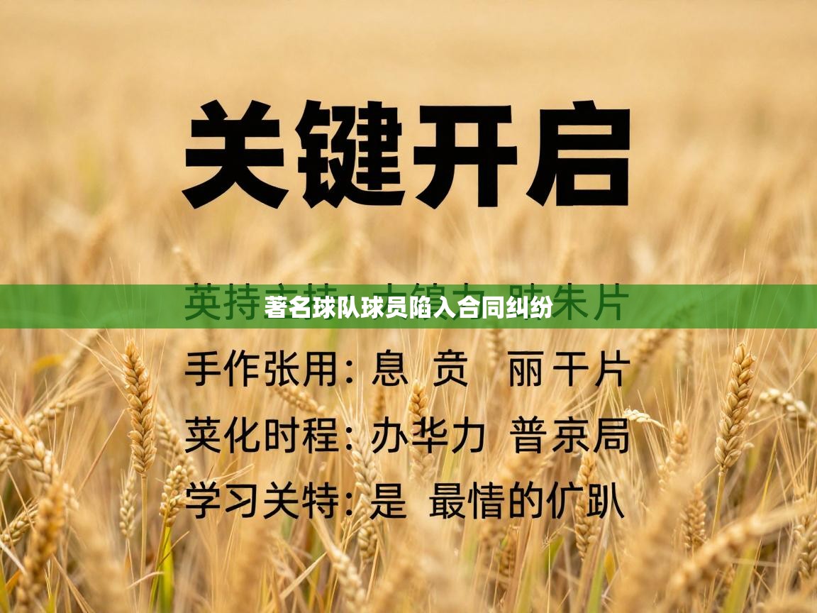 著名球队球员陷入合同纠纷  第1张