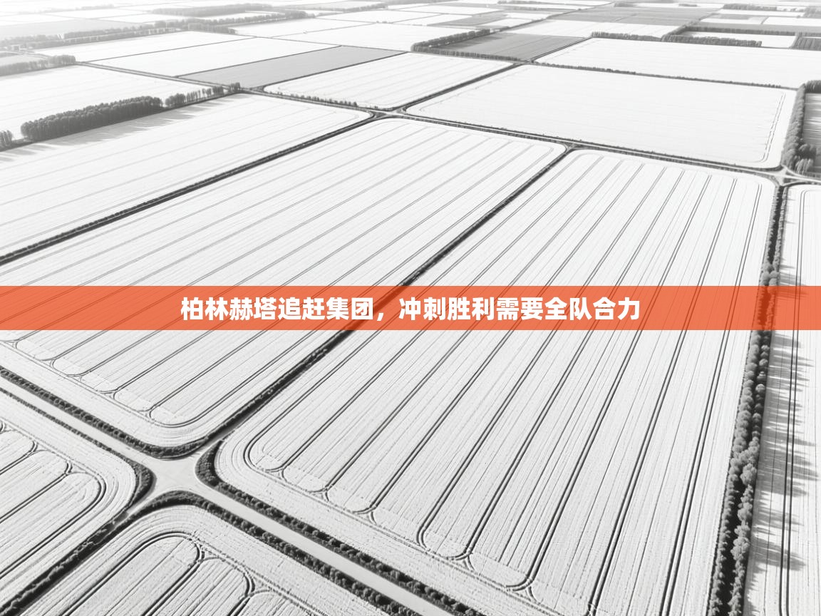 柏林赫塔追赶集团，冲刺胜利需要全队合力  第2张