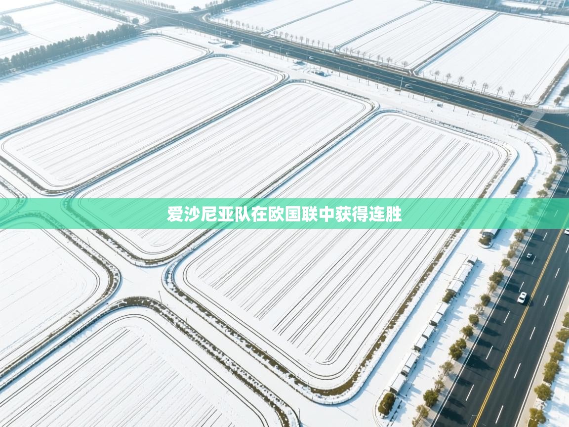 爱沙尼亚队在欧国联中获得连胜  第1张